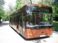 Городской автобус МАЗ 2031